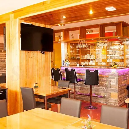 Salamander Terchová