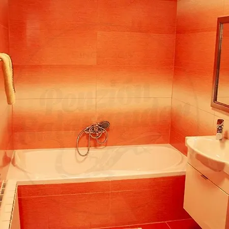 Guest house Salamander 3*